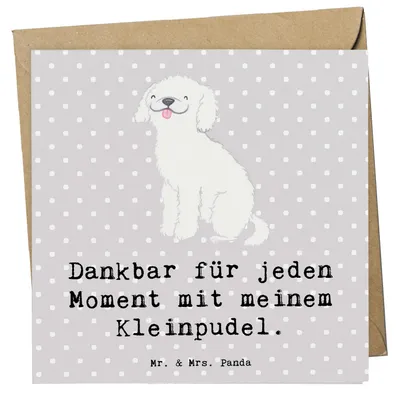 Produktbild von Mr. & Mrs. Panda Glückwunschkarte Kleinpudel Moment - Grau Pastell - Geschenk, anlasskarte, faltkarte, Grußkarte, Klappkarte, doppelkarte, Pudel