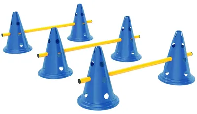 Obrázek produktu pro Sada pro agility pro psy s překážkami | Barva: modrá + žlutá | Rozměry: 22,5 x 80 x 30 cm
