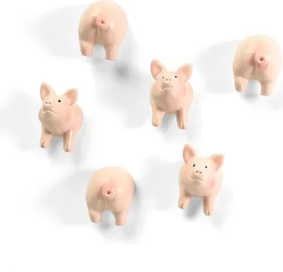 Produktbild von SCHWEINCHEN Magnete im 6er Set für Magnettafel Kühlschrank Pinnwand Whiteboard Memoboard [FA4593]