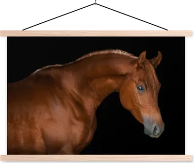 Produktbild von MuchoWow® Textilposter Pferd - Schwarz - Braun 60x40 cm mit holzfarbenen Rahmen - Bilder