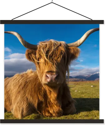 Produktbild von MuchoWow® Textilposter Schottische Hochlandrind - Tiere - Gras 120x120 cm mit schwarzem Rahmen - Aufhängungsset