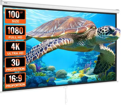 Produktbild von Projektion Beamer Leinwand 254 cm HD 4K Outdoor Indoor Manuelle Projektor Screen Schnelles Klappbare Tragbare Filmleinwand 16: 9 für Heimkino, Camping und Freizeitveranstaltungen Schwarz