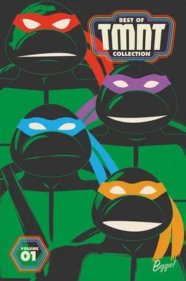Image de Best of Teenage Mutant Ninja Turtles Collection, Vol. 1