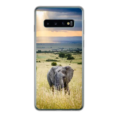 Produktbild von MuchoWow® Handyhülle Schutzhülle Hülle für Samsung Galaxy S10 Elefant - Tiere - Landschaft - Sonne - Natur Silikon Softcase Handy Hülle - Handytasche