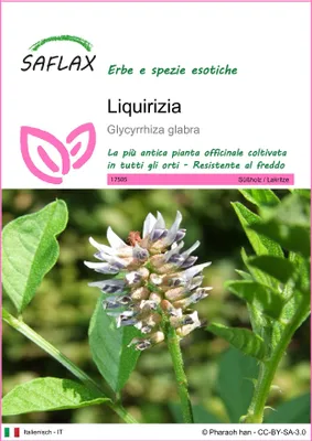 Immagine prodotto di SAFLAX  - Liquirizia - 30 semi - Glycyrrhiza