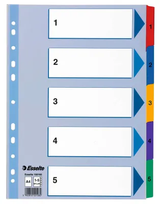 Obrázek produktu pro Esselte Leitz 100160 - Numerischer Registerindex - Karton - Blau - Porträt - A4 - 160 g/m²