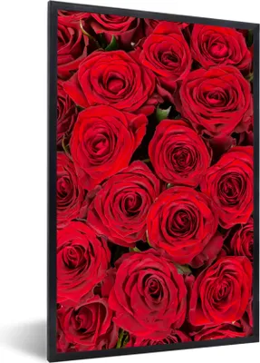 Produktbild von MuchoWow® Gerahmtes Poster Rosen - Blumen - Blumenstrauß 20x30 cm - Poster mit Schwarzem Bilderrahmen Wandposter Rahmen Foto Bilder - Drucken - Bilder Poster im Rahmen