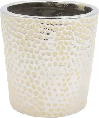 Immagine prodotto di Vaso da fiori in Vetroceramica argento 13 cm