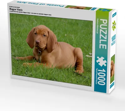 Produktbild von Calvendo Ein Motiv aus dem Kalender Magyar Vizsla 1000 Teile Puzzle quer 640x480mm, Mielewczyk Barbara; 7322269