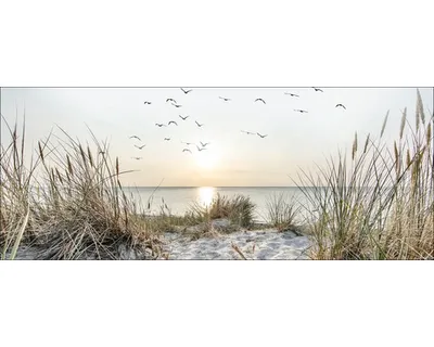 Produktbild von Glasbild Nordic Beach Atmosphere I 80x30 cm