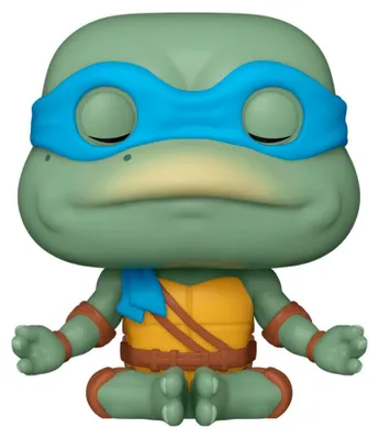 Obrázek produktu pro Dospívající mutant Želvy Ninja Akční figurka Leonarda