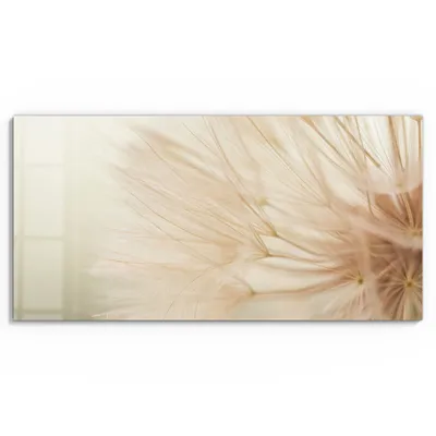 Produktbild von DEQORI Glasbild Echtglas 60x30 cm 'Zarte Natur' Wandbild Bild modern Deko