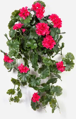 Produktbild von artplants.de Kunststoff Geranie OTTAVIA auf Steckstab, crossdoor, pink, 65cm - Künstliche Geranie