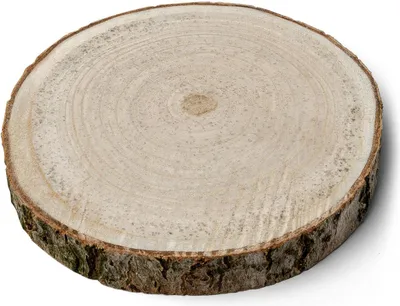 Produktbild von Holzscheibe Natur 20cm Rund, 17 bis 23 cm - Einheitsgröße