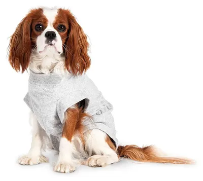 Productafbeelding van Karlie veiligheidshesje voor honden, grijs, maat: 36 cm