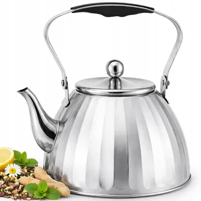 Produktbild von Hauspremium Wasserkocher Induktion Retro Silber 3L