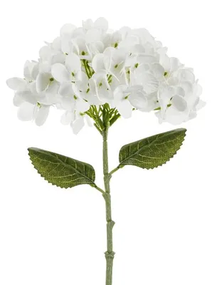 Immagine prodotto di Fiore artificiale - Ortensia, 35 cm, bianco