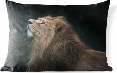 Produktbild von MuchoWow® Outdoor Kissen - Löwe - Schwarz - Dschungel - 50x30 cm - Wetterfest - Lounge Kissen - Sofa kissen - Wohnzimmer Dekoration