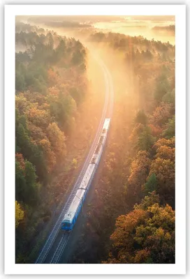 Produktbild von Poster - Poster ohne Rahmen - Bahn Herbst So - 61x91,5 cm - Wand Bild - Wanddeko - Wandbilder - Kunstposter - Wandposter - Bilder - Kunstdruck - Wanddekoration - Wandbild - P2XPA61x91-4632