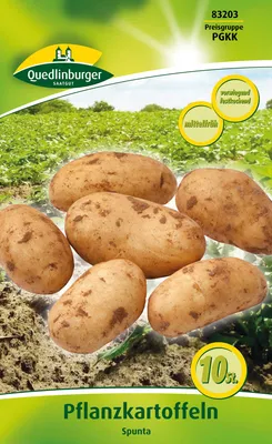 Produktbild von Pflanzkartoffel Spunta (10 Stück) (gelb, vorwiegend festkochend, mittelfrüh) Pflanzkartoffeln von Quedlinburger
