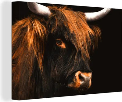 Produktbild von OneMillionCanvasses® - Leinwandbilder - 140x90 cm, Schottisches Hochlandrind - Schwarz - Kuh - Horn - Tiere, Wandbilder Kunstdruck Wanddekoration - Foto auf Leinwand - Gemälde auf