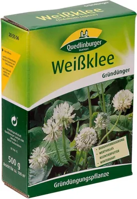 Produktbild von Weißklee 500 g | Gründünger von Quedlinburger