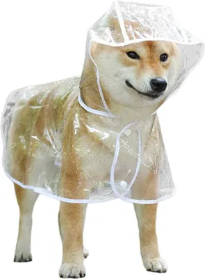 Produktbild von Regenmantel für Hunde und Katzen mit Kapuze, verstellbar, transparent Größe L: Rückenlänge 32 cm (Empfohlen für 5–7,5 kg)