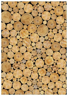 Produktbild von Wallario Premium Glasbild, freischwebende Optik, kräftige Farben, Größe 100 x 70 cm Motiv Holzstapel rund