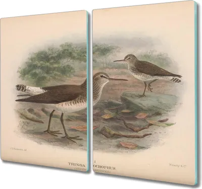 Produktbild von Coloray Kochplattenabdeckung Herdabdeckplatte 2x30x52 cm Hackbrett Schneidebrett Küchenbrett - Vögel Tiere