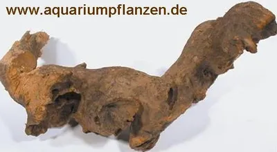 Produktbild von Savannenwurzel 20-30 cm, Wurzel, Aquarium, Deko