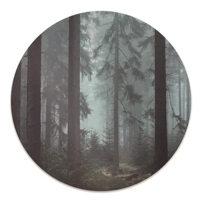 Produktbild von Rundmatte - Stuhlunterlage Bürostuhlunterlage - Rund Ø 100 cm - Bodenmatte - Fußmatte - Nebeliger Wald