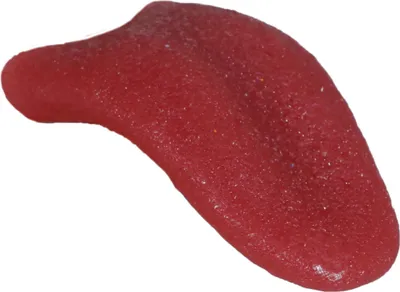 Produktbild von Karnevalsgag Zunge Partyspaß Halloween Geburtstagsfeiern Junggesellenabschied Kostümzubehör Spaßartikel, Farbe: Rot