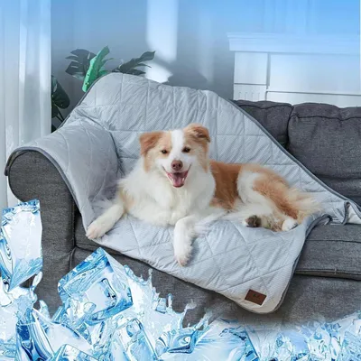 Produktbild von Wasserdichte Tierdecke für Hunde und Katzen