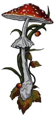 Pilz-Patch zum Aufbügeln, gestickt, für Kleidung & Accessoires