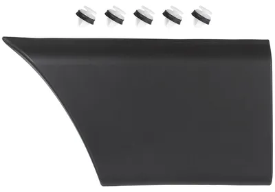 Für Renault Master III / Opel Movano B Türleiste Seitenleiste Clips HINTEN LINKS in der Farbe von GOLDCAR