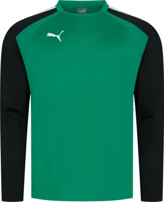 Image de Puma Teamliga Sweat Hommes - Vert