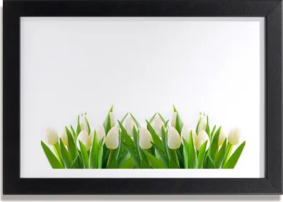 Produktbild von Bild 30x20 MDF-Rahmen, Wandkunst weiße Tulpen