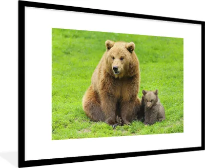 Produktbild von MuchoWow® MuchoWow® Gerahmtes Poster Bär - Gras - Junge 90x60 cm - Poster mit zchwarzem Bilderrahmen - Wanddekoration - Fotos