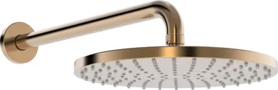 Obrázek produktu pro Hansa 4426020081 Sprchová hlavice HANSAVIVA 4426 1-tryska