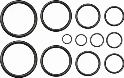 Immagine prodotto di Set di 12 O-ring piccoli da n°4 a 10 NOYON & THIEBAULT - 8515-AC1