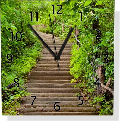 Produktbild von Wallario Design Wanduhr Steintreppe im Wald aus Aluverbund, Größe 30 x 30 cm