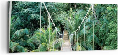 Produktbild von Bild auf Leinwand - Leinwandbild - Einteilig - Tropen Dschungel Brücke - 120x50cm - Wand Bild - Wanddeko - Wandbilder - Leinwanddruck - Bilder - Wanddekoration - Leinwand bilder - AB120x50-4963