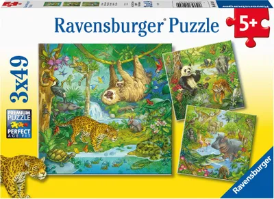 Obrázok produktu pre Ravensburger V džungli
