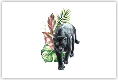 Produktbild von Poster - Poster ohne Rahmen - Schwarz Panther Blätter - 91,5x61 cm - Wand Bild - Wanddeko - Wandbilder - Kunstposter - Wandposter - Bilder - Kunstdruck - Wanddekoration - Wandbild - P2XAA91x61-4813
