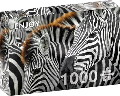 Image de Puzzle 1000 pièces Enjoy – Zèbres