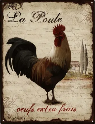 Produktbild von Moritz Retro Deko Blechschild La Poule Geschenk-Idee aus Metall Vintage-Design zur Dekoration