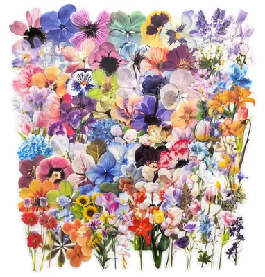 Productafbeelding van Scrapbook sticker set - 100 bloemenstickers - voor bullet journal