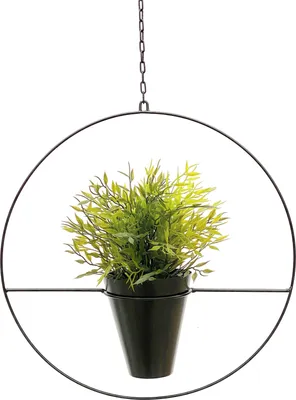 Immagine prodotto di DanDiBo cesto pensile da interno in metallo da parete nero opaco piante appese Ø 40 cm KW446 con vaso pianta appendino fiore appendino vaso appendino fiori appendino vaso appeso