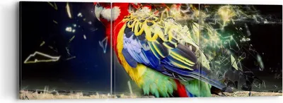 Produktbild von Bild auf Leinwand - Leinwandbild - Papagei Vogel Feder - 90x30cm - Wand Bild - Wanddeko - Wandbilder - Leinwanddruck - Bilder - Kunstdruck - Wanddekoration - Leinwand bilder - Wandkunst - CA90x30-3682