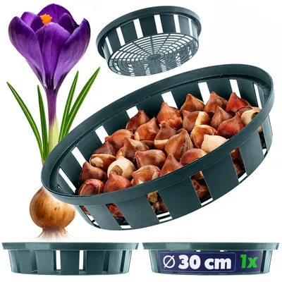 Image de KADAX Panier à Bulbes 30cm